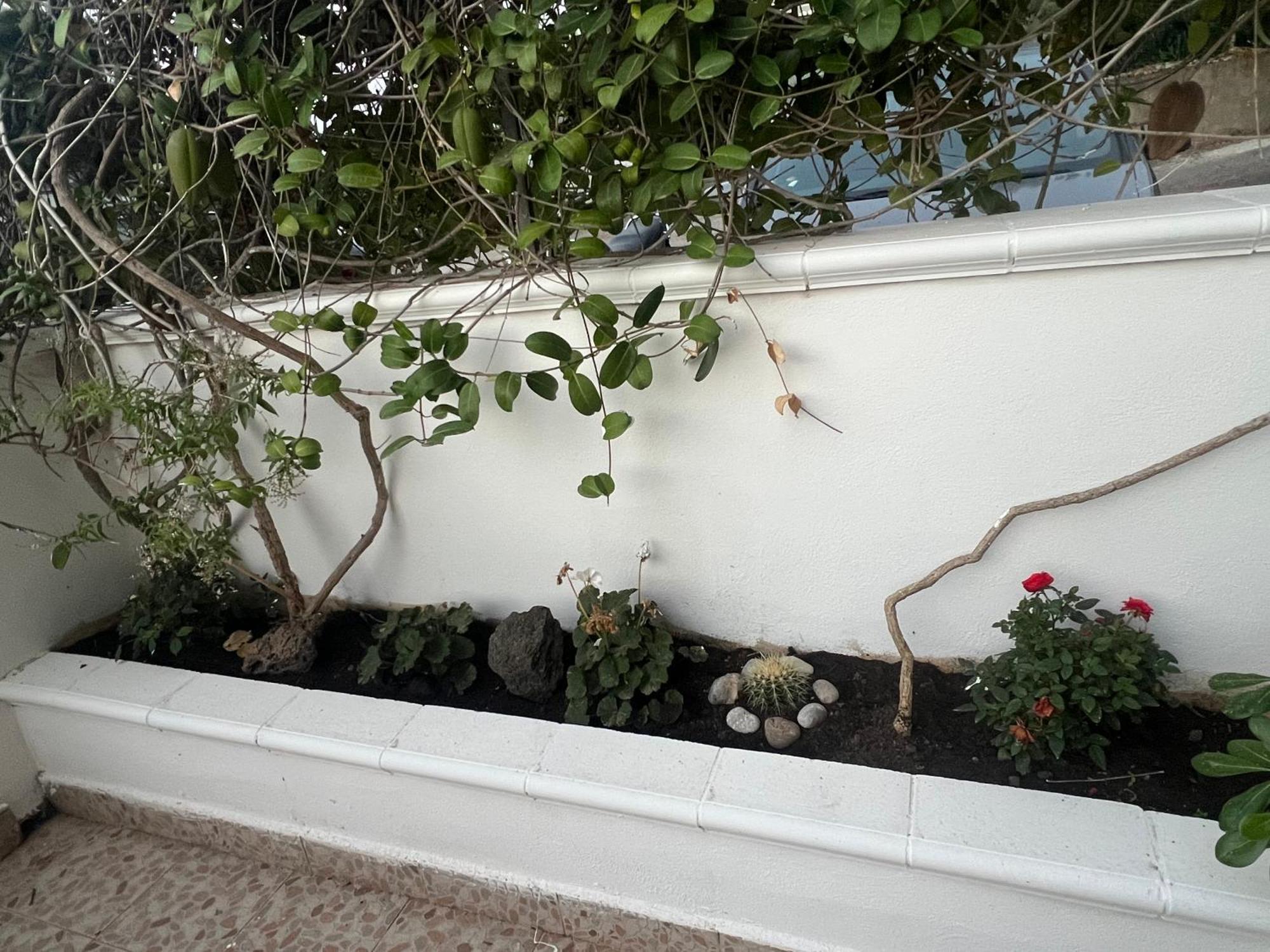 Villa La Casa Dei Ciocio Cefalù Exterior foto